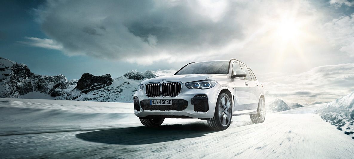 photo_in_container28311